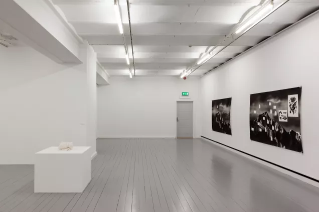 art gallery:photo