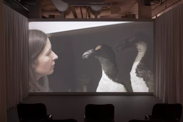 En film, i bild en kvinna som tittar på två uppstoppade fåglar. Foto.