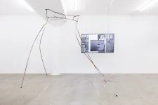 sculture